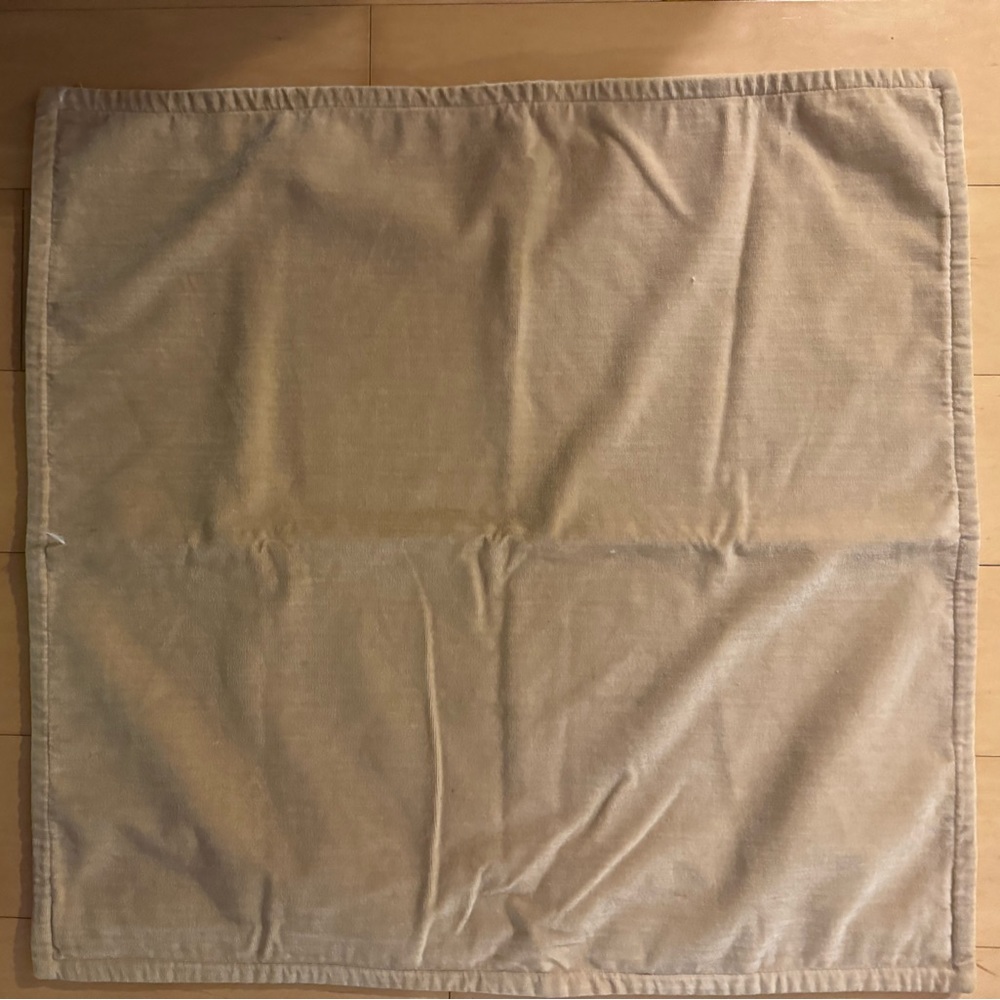 NWOT POTTERY BARN Everywhere Velvet Pillow Case - 20 x 20"- Tan /yellow